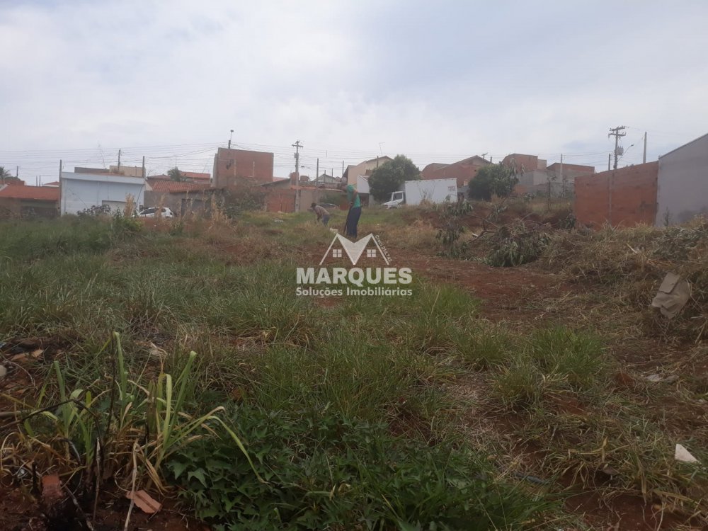 Terreno - Venda - Lot. Res. Bosque do Tamandu - Descalvado - SP